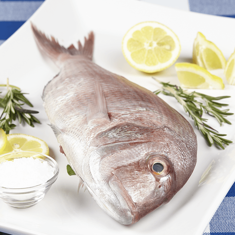 Fresh koffer plated