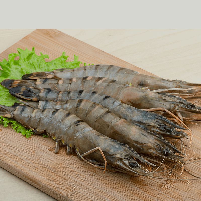 Large tiger prawns